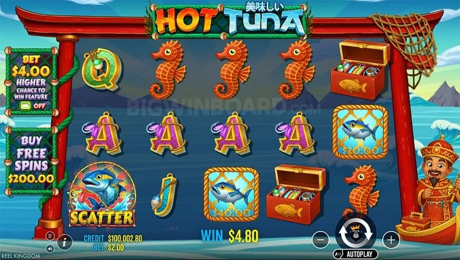 Live Betting Action