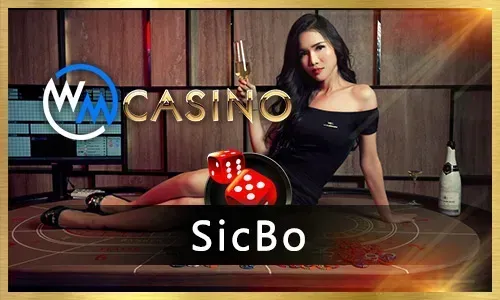 Taya777 Bingo jackpots and big wins